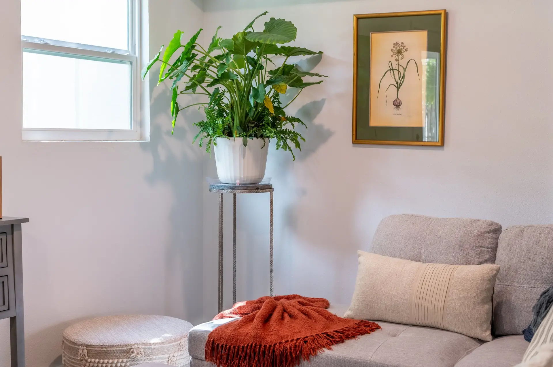 Hill Country Herb Garden House - 4