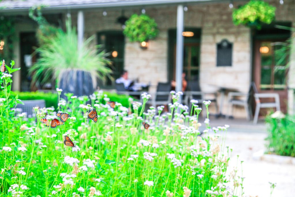 A view from the butterfly garden with the Hill Country Herb Garden Restaurant.