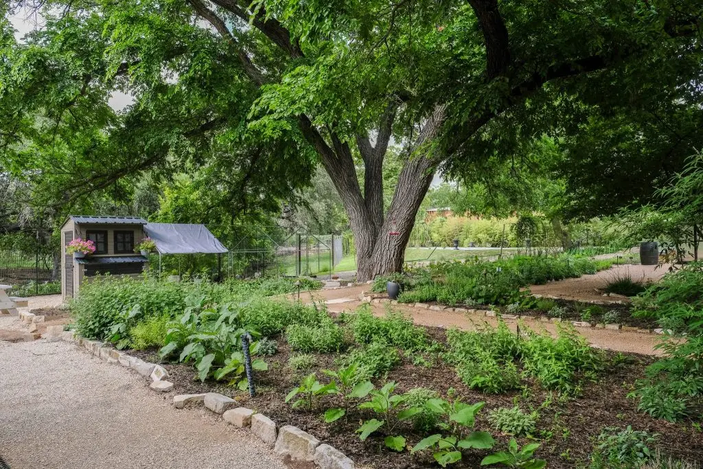 The Gardens Hill Country Herb Garden 8